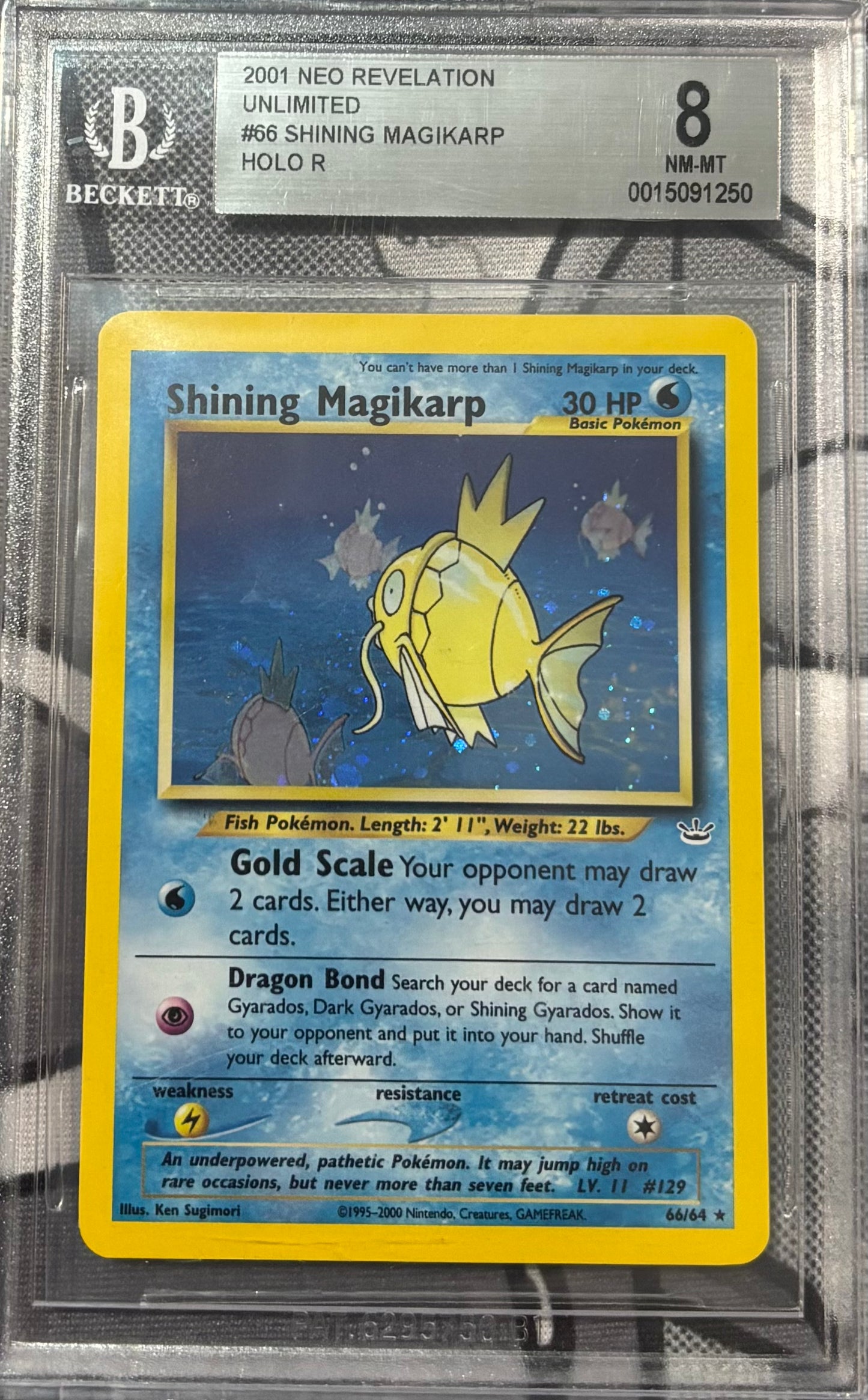 BGS 8 Shining Magikarp #66 Neo Revelation (2001)